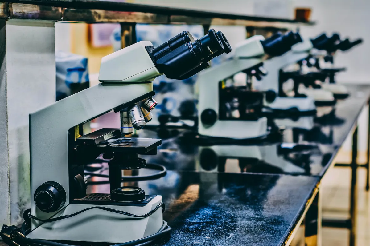 Is There A Proven Cure for Tinnitus in 2021? All The Current Research